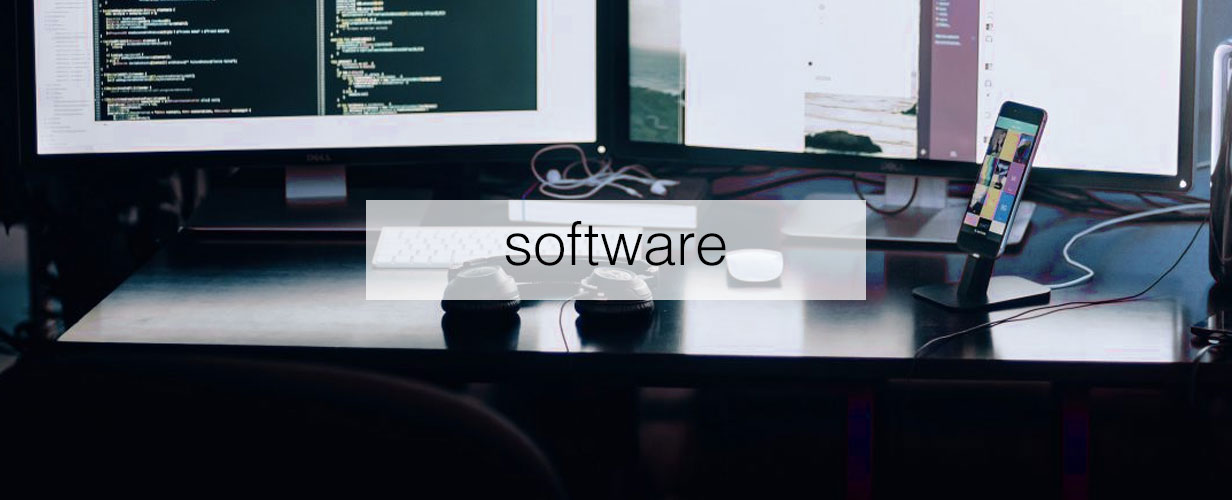 custom enterprise level software development