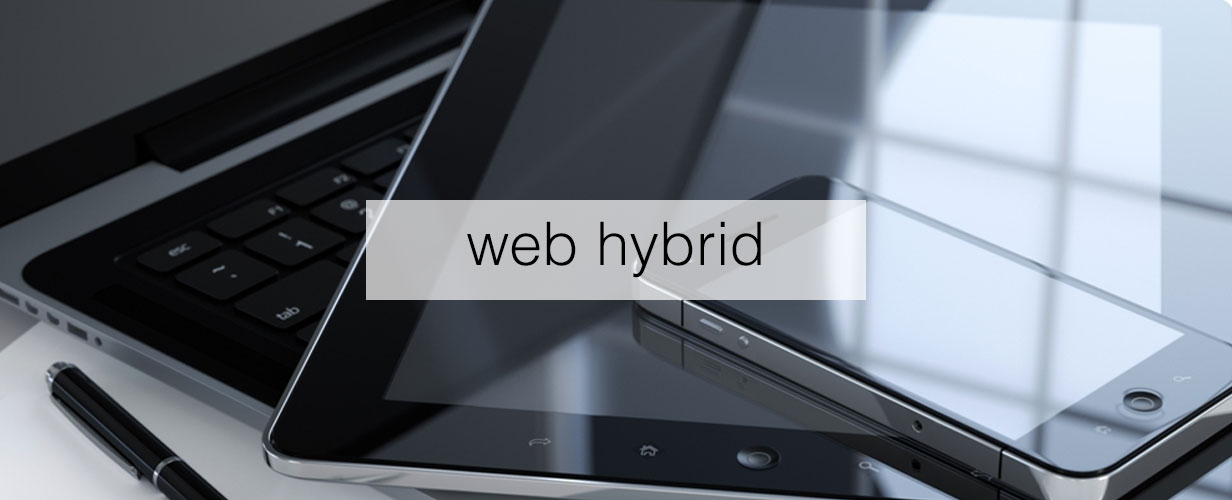 hybrid website